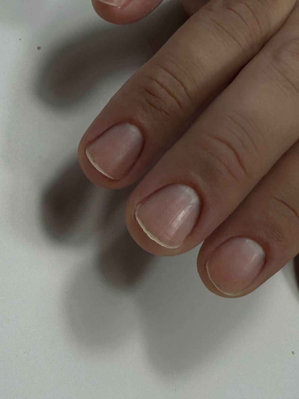 photo 5319308672909380837 y